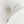 Load image into Gallery viewer, NAVAJO PEARLS BOW NECKLACE 22-24" (MW 177)
