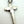 Load image into Gallery viewer, TONY YAZZIE NATIVE HANDMADE MEDITERRANEAN CORAL CLUSTER CROSS PENDANT 2.5” (TC 22)
