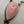 Load image into Gallery viewer, TONY YAZZIE NATIVE HANDMADE PINK CONCH DROP NECKLACE ADJUSTABLE 22" (MM 14)
