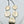 Load image into Gallery viewer, DESERT SKIES AURA OPAL CLUSTER ADJUSTABLE NECKLACE 20" (MM 07)
