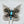 Load image into Gallery viewer, LEE CHARLEY SLEEPING BEAUTY TURQUOISE NATIVE HANDMADE BUTTERFLY PENDANT/BROOCHE 2"(CO 134)
