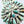 Load image into Gallery viewer, MARIE BEGAY ROYSTON TURQUOISE NATIVE HANDMADE CLUSTER POST BACK EARRINGS 1.5" (NP 39)
