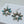 Load image into Gallery viewer, SPINY TURQUOISE FISHHOOK EARRINGS (JR 145)

