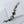 Load image into Gallery viewer, BOULDER CHRYSOPRASE TOGGLE BRACELET 6-7" (MW 475)
