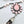Load image into Gallery viewer, GILBERT PLATERO PINK CONCH CLUSTER &amp; NAVAJO PEARLS TASSEL LARIAT 20" (6" DROP)  (JD 46)
