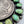 Load image into Gallery viewer, NATIVE HANDMADE P. SKEETS SONORAN GOLD TURQUOISE 1921 SILVER COIN PENDANT 3"(MM 30)
